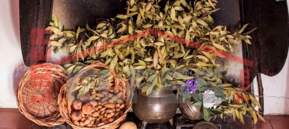 4 bedrooms House in Meirinhos, Portugal No. 221445 28