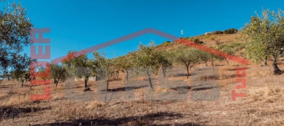 4 bedrooms House in Meirinhos, Portugal No. 221445 6