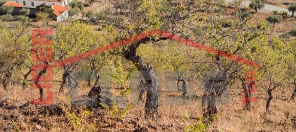 4 bedrooms House in Meirinhos, Portugal No. 221445 44