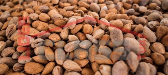 4 bedrooms House in Meirinhos, Portugal No. 221445 7