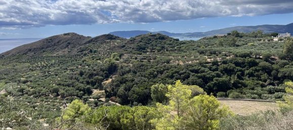  Hotel in Zakynthos, Greece No. 8627 2