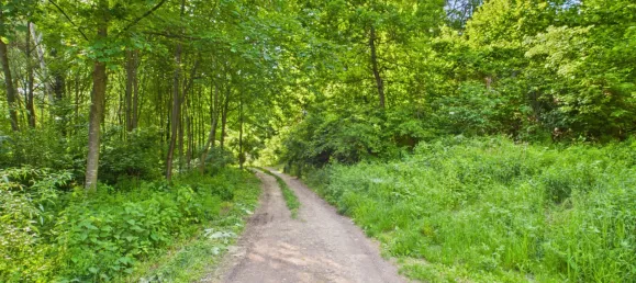  قطعة أرض في Leobendorf, Austria 953متر مربع رقم 164265 14