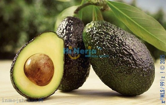 9000m² Land in Velez-Malaga, Spain No. 33825