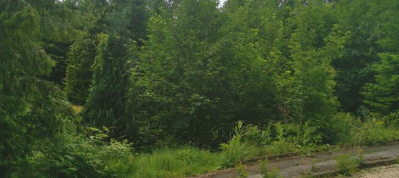 Terrain à Gottingen, Germany No. 257864 2