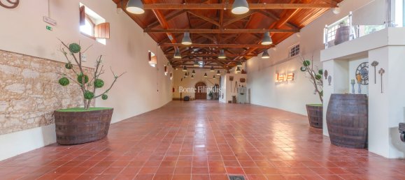 Casa de 9 dormitorios en Aveiras de Baixo, Portugal No. 138236 146