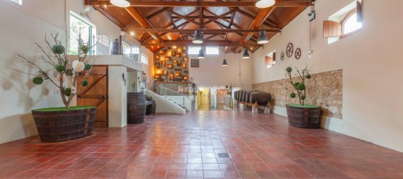 Casa de 9 dormitorios en Aveiras de Baixo, Portugal No. 138236 147