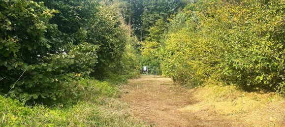 Terreno en Pressbaum, Austria No. 20492 8