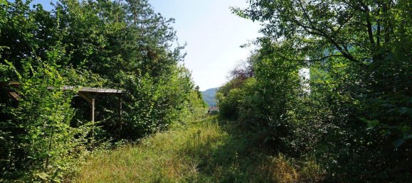 Terreno en Pressbaum, Austria No. 20492 6