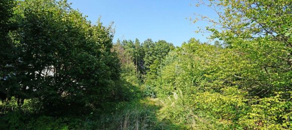 Terreno en Pressbaum, Austria No. 20492 9