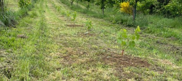 3 chambres Maison à Lalevade-d'Ardèche, France No. 317232 18