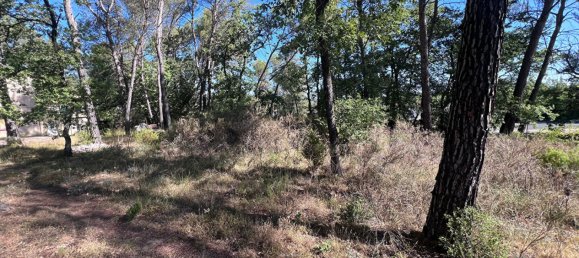 Grundstück in Greasque, France, Nr. 296134 2