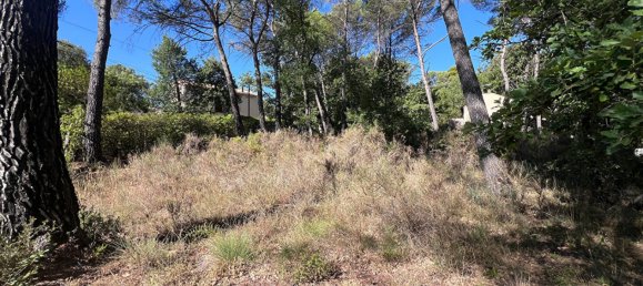 Grundstück in Greasque, France, Nr. 296134 4