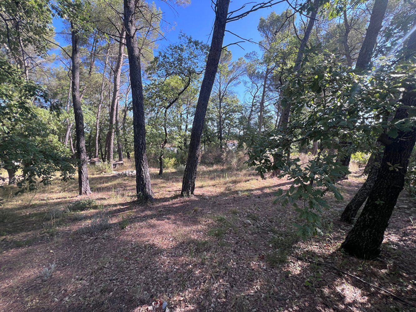 Grundstück in Greasque, France, Nr. 296134