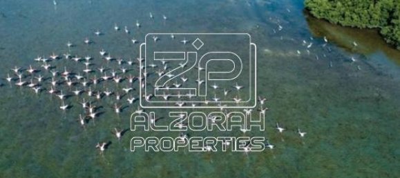 1 bedroom Apartment in BEACH HILLS, Al Zorah, UAE No. 62571 11