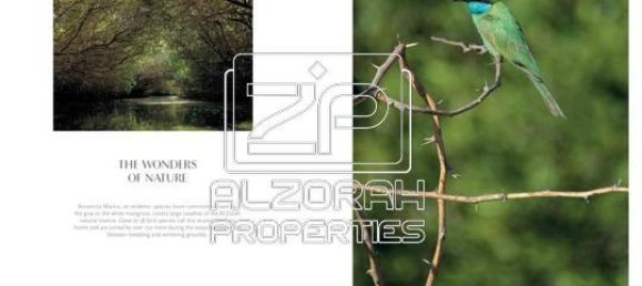 1 bedroom Apartment in BEACH HILLS, Al Zorah, UAE No. 62571 18