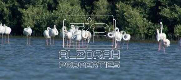 1 bedroom Apartment in BEACH HILLS, Al Zorah, UAE No. 62571 12