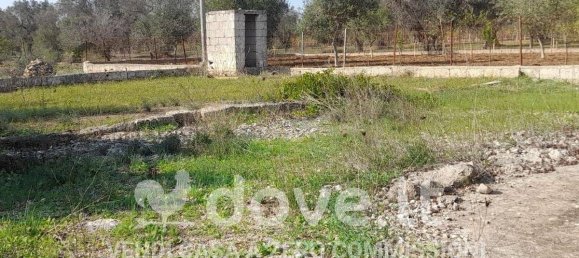 1 bedroom Villa in Francavilla Fontana, Italy No. 339388 15