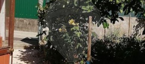 1 bedroom House in Proenca a Nova, Portugal No. 214215 5