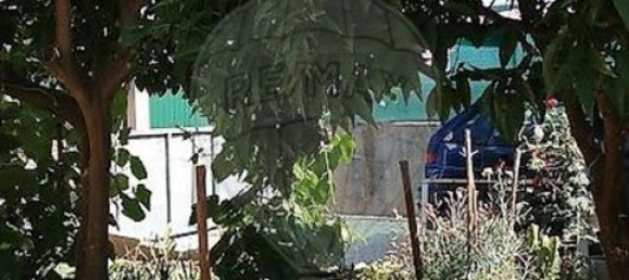 1 bedroom House in Proenca a Nova, Portugal No. 214215 6