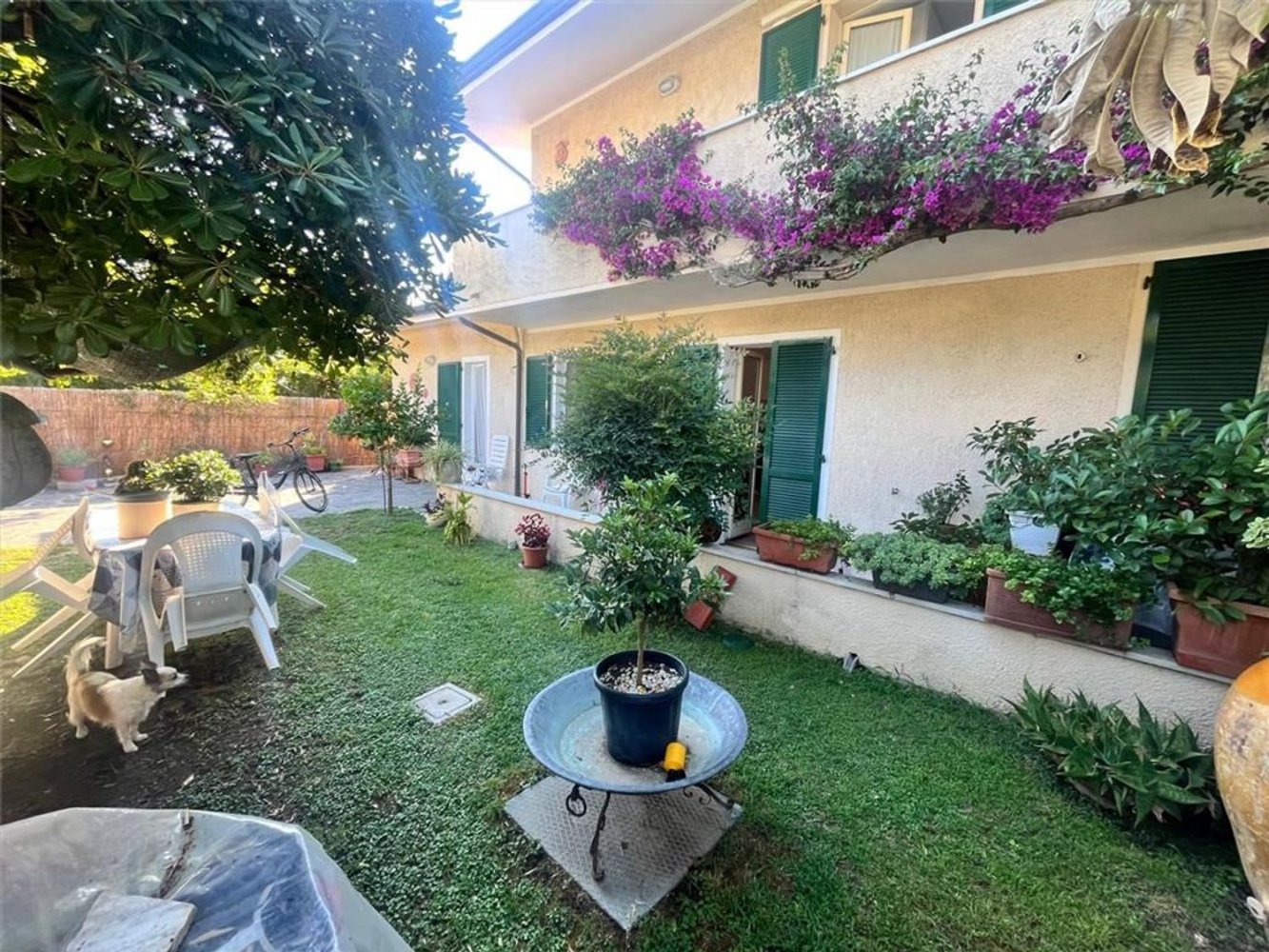 2-Zimmer Villa in Forte dei Marmi, Italy, Nr. 288235