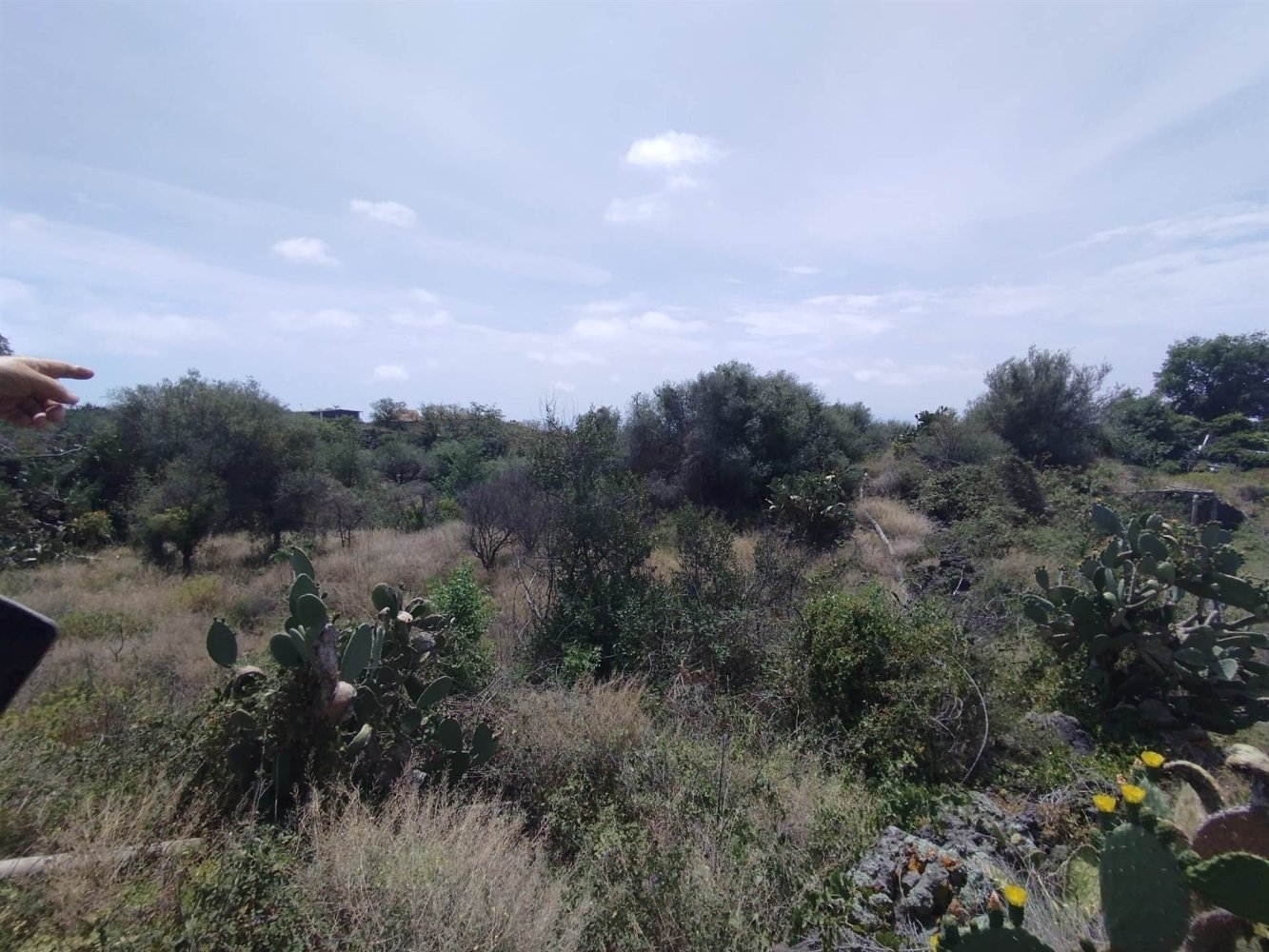 Grundstück in Misterbianco, Italy 2800m², Nr. 51227