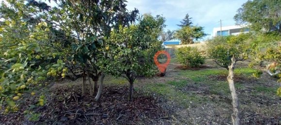 5 bedrooms House in Albufeira, Portugal No. 131799 14