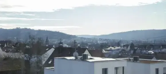 Земельный участок с 12 комнатами в Ремс-Мур, Германия № 36906 4