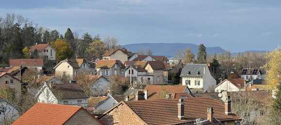 2 bedrooms Apartment in Saint-Die-des-Vosges, France No. 88098 8