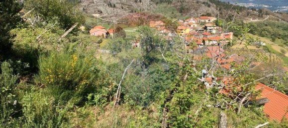 1 bedroom House in Vila Real, Portugal No. 168437 11