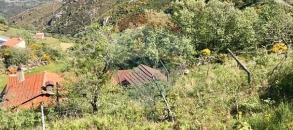 1 bedroom House in Vila Real, Portugal No. 168437 4