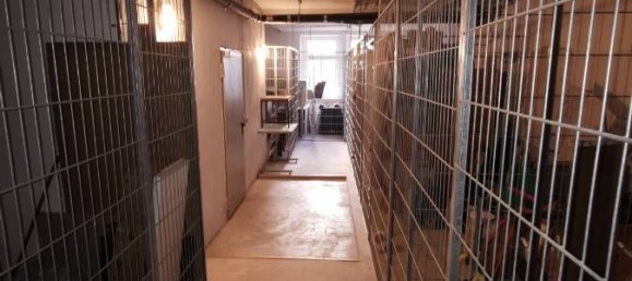 Apartamento de 2 divisões em Leipzig, Germany N.º 61004 17