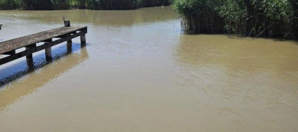 3 rooms House in Rust, Austria No. 143971 2