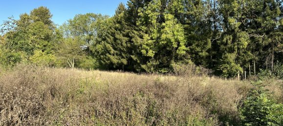 Grundstück in Muespach, France, Nr. 92377 4