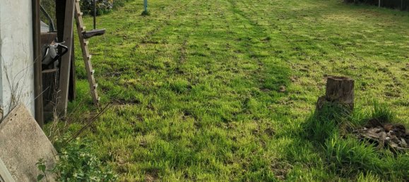 3 bedrooms House in Mettmann, Germany No. 237564 5