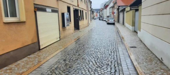 7 chambres Bâtiment à Burgenlandkreis, Germany No. 263155 20