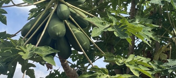 3 bedrooms House in Marbella, Spain No. 136408 2