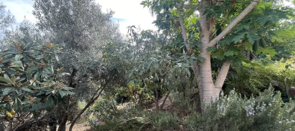 3 bedrooms House in Marbella, Spain No. 136408 17