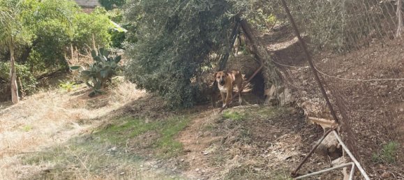 3 bedrooms House in Marbella, Spain No. 136408 64