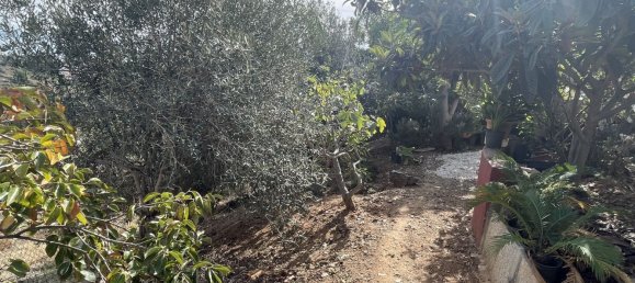 3 bedrooms House in Marbella, Spain No. 136408 12