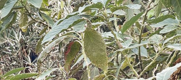 3 bedrooms House in Marbella, Spain No. 136408 22