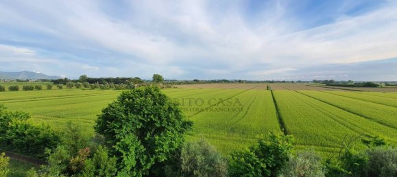 1 room Warehouse in Pisa, Italy No. 169204 12