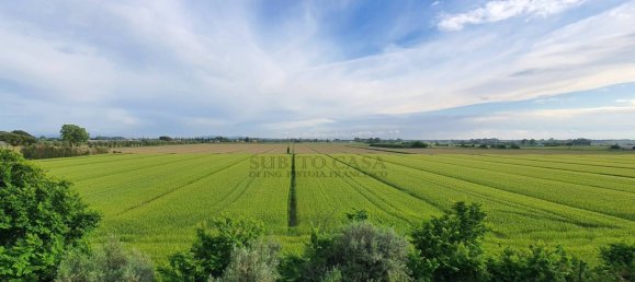 1 room Warehouse in Pisa, Italy No. 169204 9