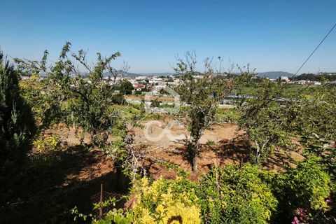  قطعة أرض في Guimaraes, Portugal رقم 227385