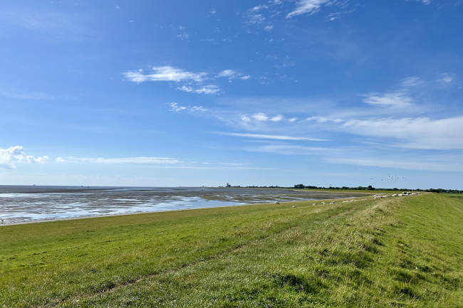 Apartamento de 1 dormitorio en Dithmarschen, Germany No. 308327