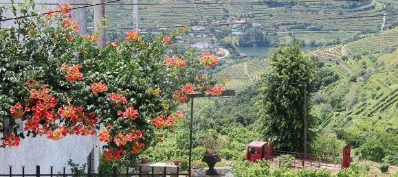 3 bedrooms House in Mesao Frio, Portugal No. 186067 11