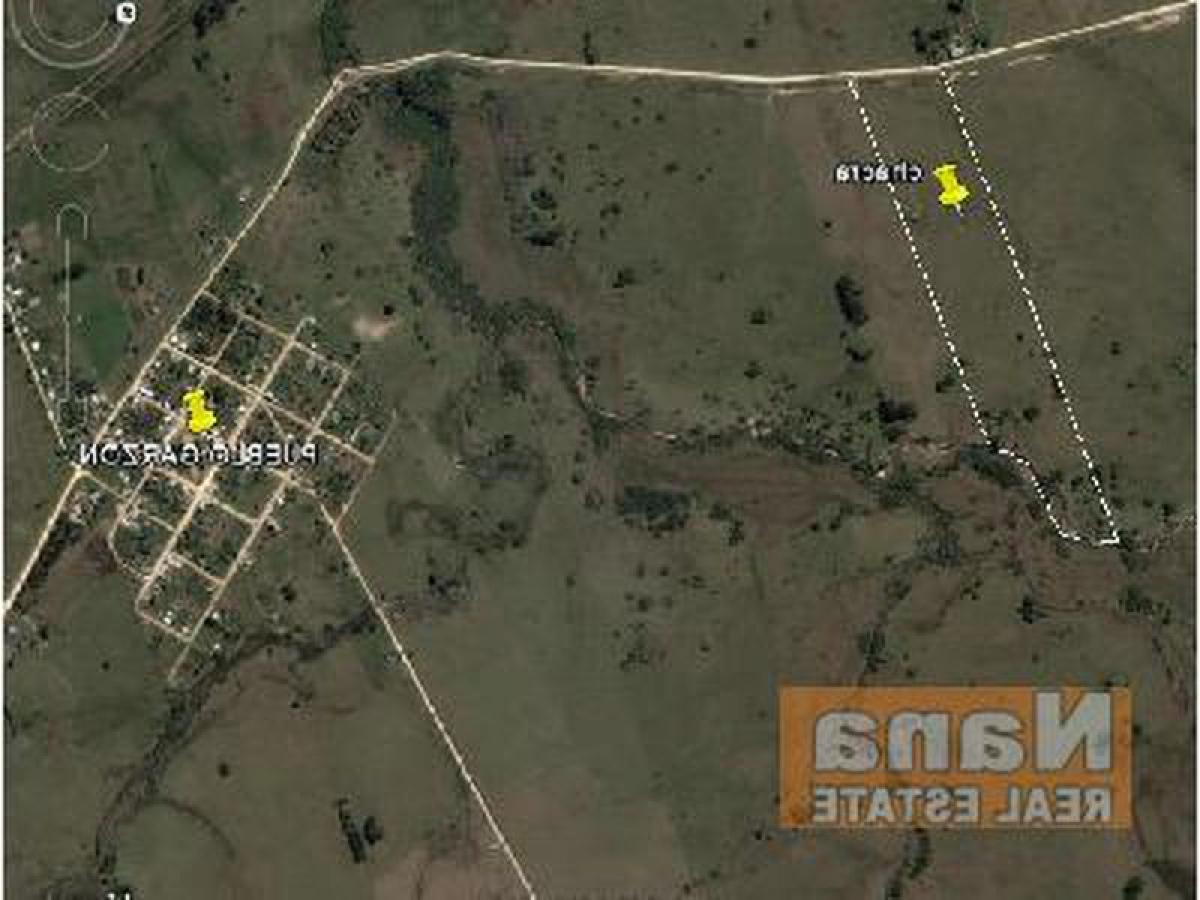  Farm in Maldonado, Uruguay No. 14637