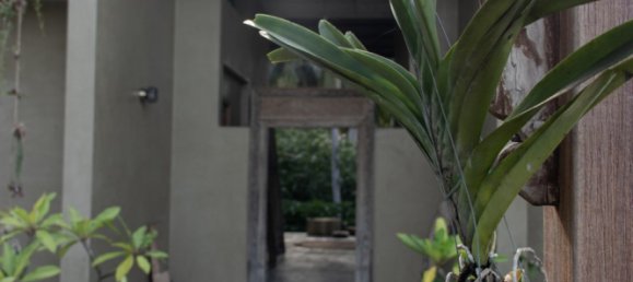 2 bedrooms House in Koh Pha Ngan, Thailand No. 26078 14