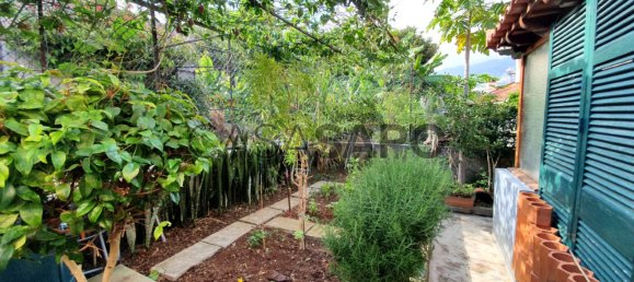 4 bedrooms House in Funchal, Portugal No. 17228 6