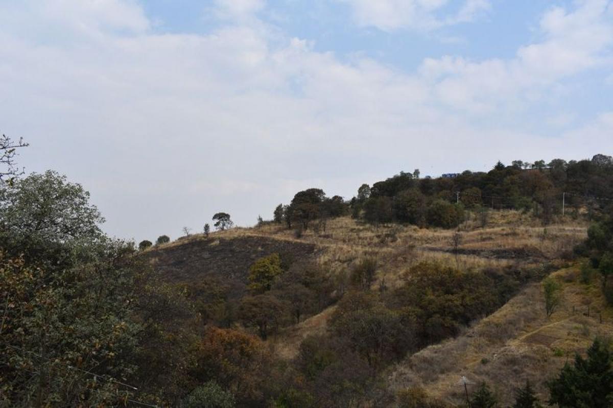  Land in Mexico No. 203037