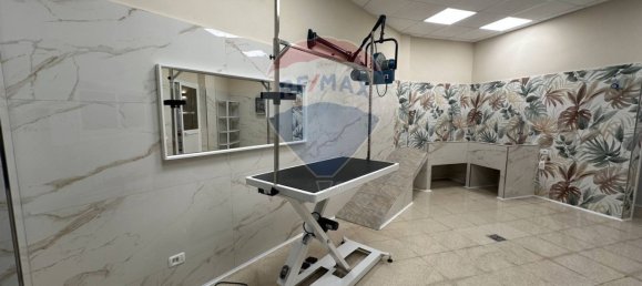 2 rooms Commercial property in Rome, Italy No. 326128 6